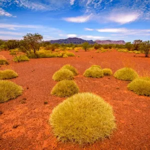 Hamersley Range