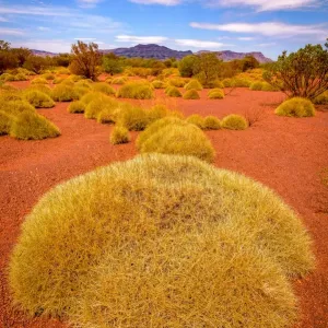 Hamersley Range