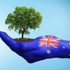 Hand with flag of Australia holding a tree Hand with flag of Australia holding a tree