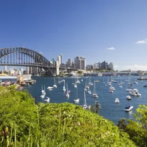 harbour bridge