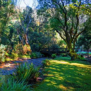 Harrietville, Ovens valley, High Country, Victoria, Australia