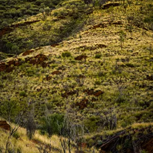 Hat Hill Saddle at West Macdonnell Ranges