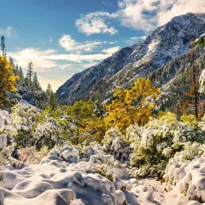 Heavy snowfall at Trinity Alps, California