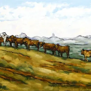 Herd of Bulls Print on Canvas Herd of Bulls Print on Canvas