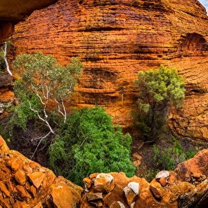 Hidden Canyon in the maze of weathered sandstone
