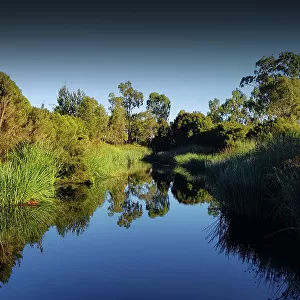 Hidden Grove, Melbourne environs, Victoria, Australia