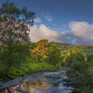 Highland light, Kinloch Rannoch, Scotland