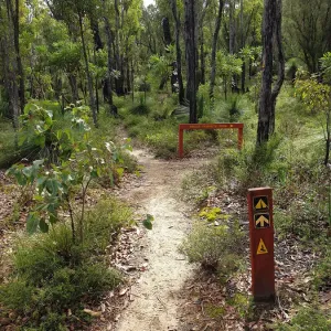 Hiking near Mount Cooke, Western Australia