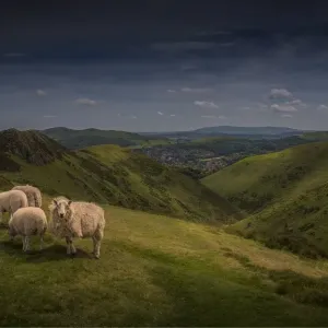 Hillside view down the Carding Valley in Shropshire, England, United Kingdom