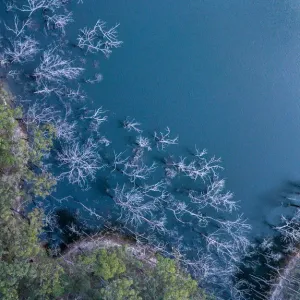 Hinze Dam