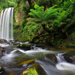 Hopetoun Falls, Great Otway NP, Australia Hopetoun Falls, Great Otway NP, Australia