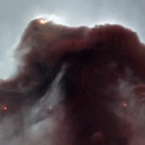 Horsehead Nebula Print Horsehead Nebula Print