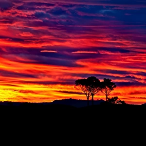 Hunter Valley Sunset