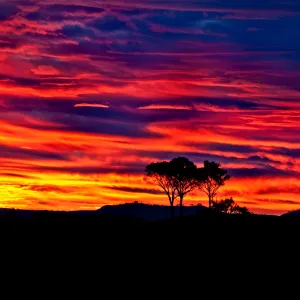 Hunter Valley Sunset