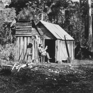 Hut Fernshaw
