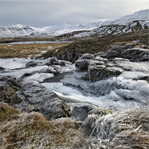 Iced in Stream