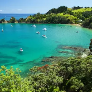 Idyllic bay on Rakino Island near Auckland in the Hauraki Gulf