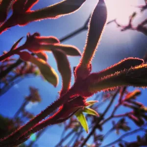 Illuminating Sunbeams