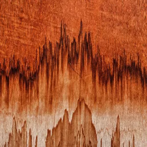 Jagged wood stains shot from a close up point of view, Wyndham, Western Australia, Australia