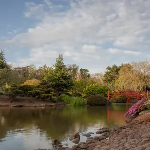 Japanese Garden in a public park in Toowoomba, Queensland