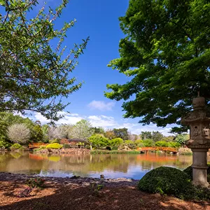 Japanese Garden in Spring, with lake