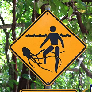 Jellyfish - Road sign
