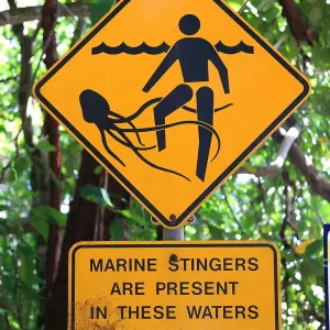 Cape Tribulation