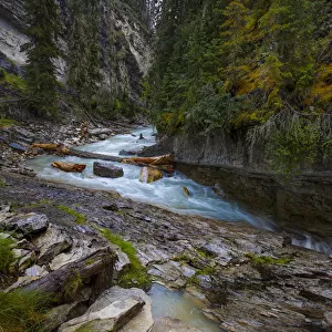 Johnston Creek In Banff National Park, Alberta, Canada