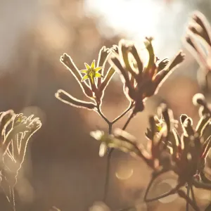 Images Dated 2019 March: 27 Mar 2019