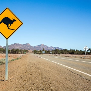 Kangaroo sign. Wilpena Pound. Flinders Ranges