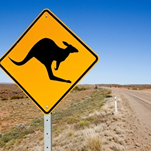 Kangaroo warning sign. Australia