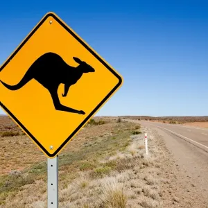 Segnale di avvertimento per canguri. Australia. Segnale di avvertimento per canguri. Australia.