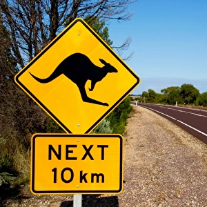Kangaroo warning sign, Australia