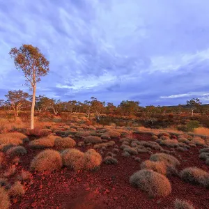 Karijini