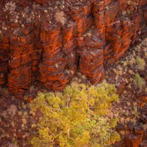 Karijini National Park, Pilbara, Western Australia, Australia