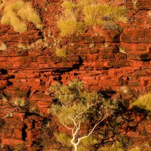 Karijini National Park, Western Australia, Australia Karijini National Park, Western Australia, Australia