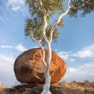 Northern Territory (NT) Framed Print Collection: Karlu Karlu or Devils Marbles