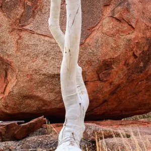 Karlu Karlu or Devils marbles Conservation Reserve, Northern Territory, Australia