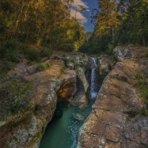 Killarny Glen rainforest, Hinterland of southern Queensland, Australia