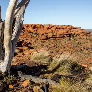 Kings Canyon. Northern territory. Australia Kings Canyon. Northern territory. Australia