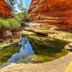 Kings Canyon waterhole Australia