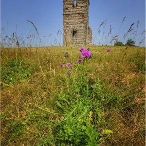 Knowlton historic church and neolithic henge mound, Dorset, England Knowlton historic church and neolithic henge mound, Dorset, England