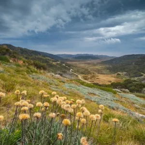kosciuszko national park