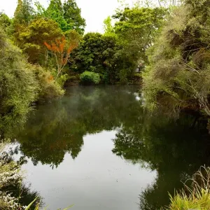 Kuirau Park Kuirau Park
