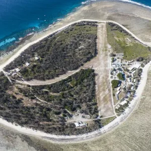 Island Lady Elliot
