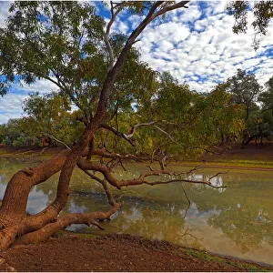 Lagoon at Comeroo, outback New South Wales, Australia