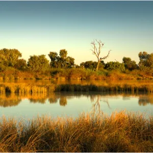 Lagoon in flood, Birdsville, outback Queensland, Australia