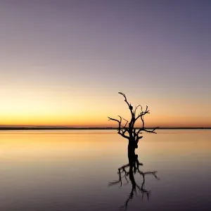 Lake Bonney, South Australia Lake Bonney, South Australia