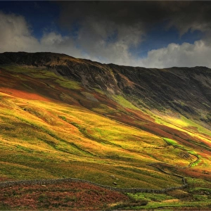 Lake District Autumn Colours