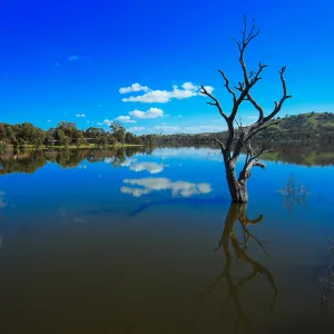 Lake Eildon